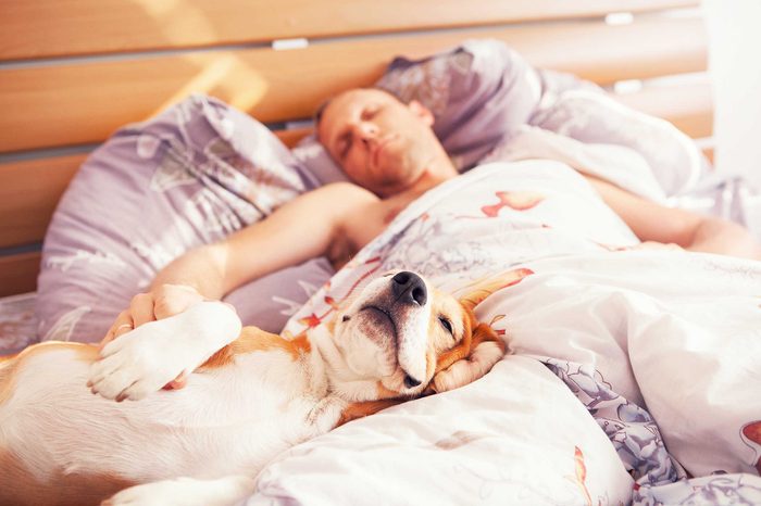 these_4_sure_signs_dog_trusts_you_sleep_room