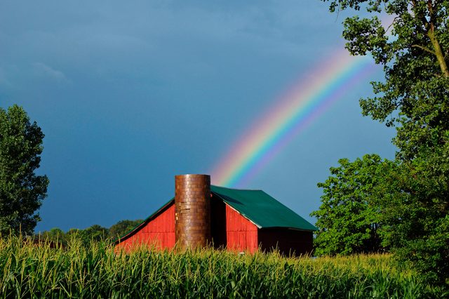 Rainbow