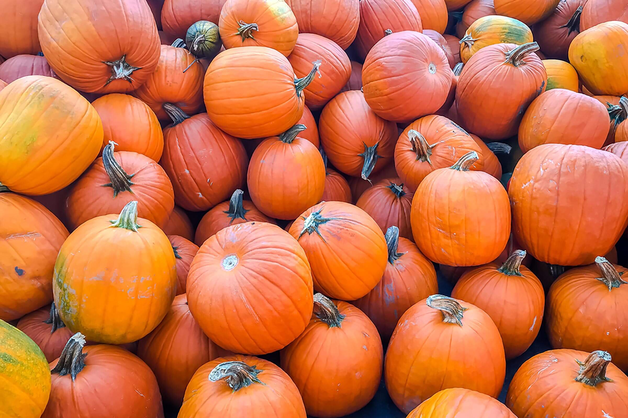 Pumpkins