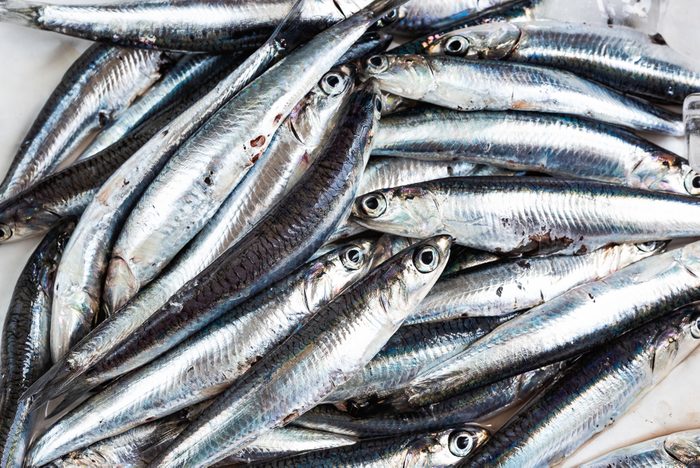 anchovies just caught, close up