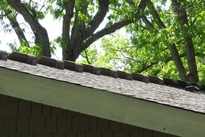 March of the roof vents