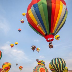 Colorful hot air balloons float in the sky, with a clear blue backdrop, creating a vibrant and lively scene.