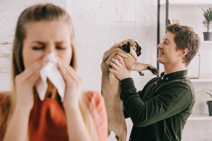 selective focus of cheerful handsome man looking at cute pug dog near woman sneezing in tissue