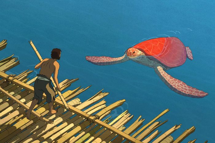 the red turtle