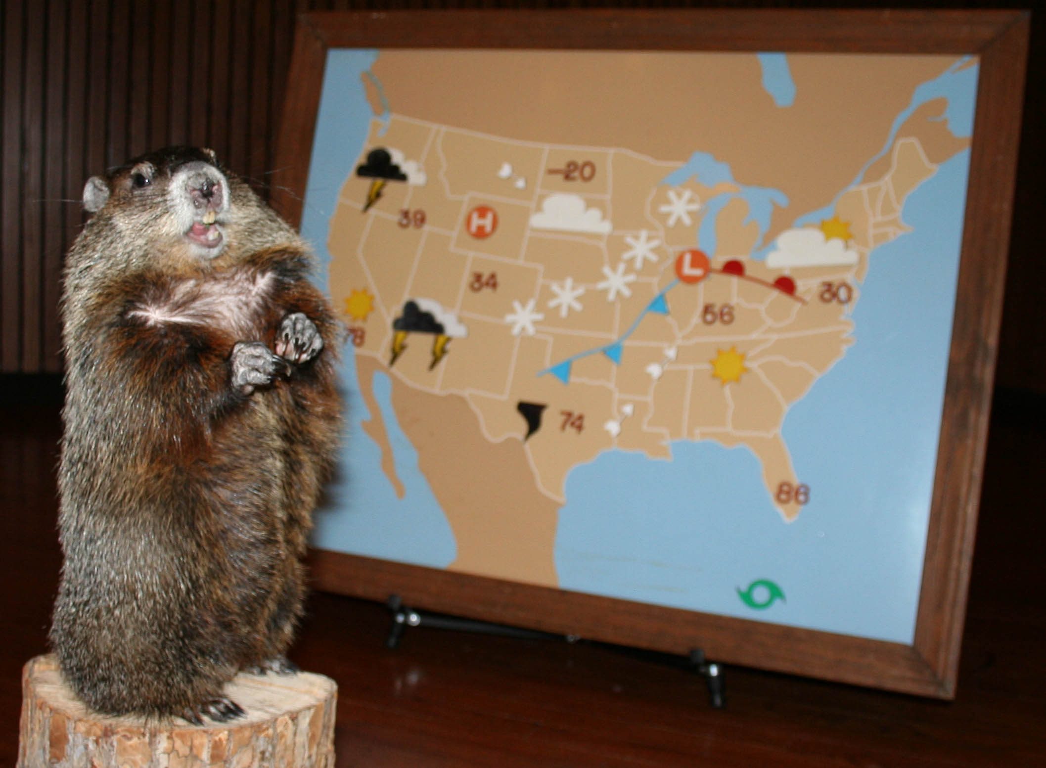 chattanooga chuck ground hog
