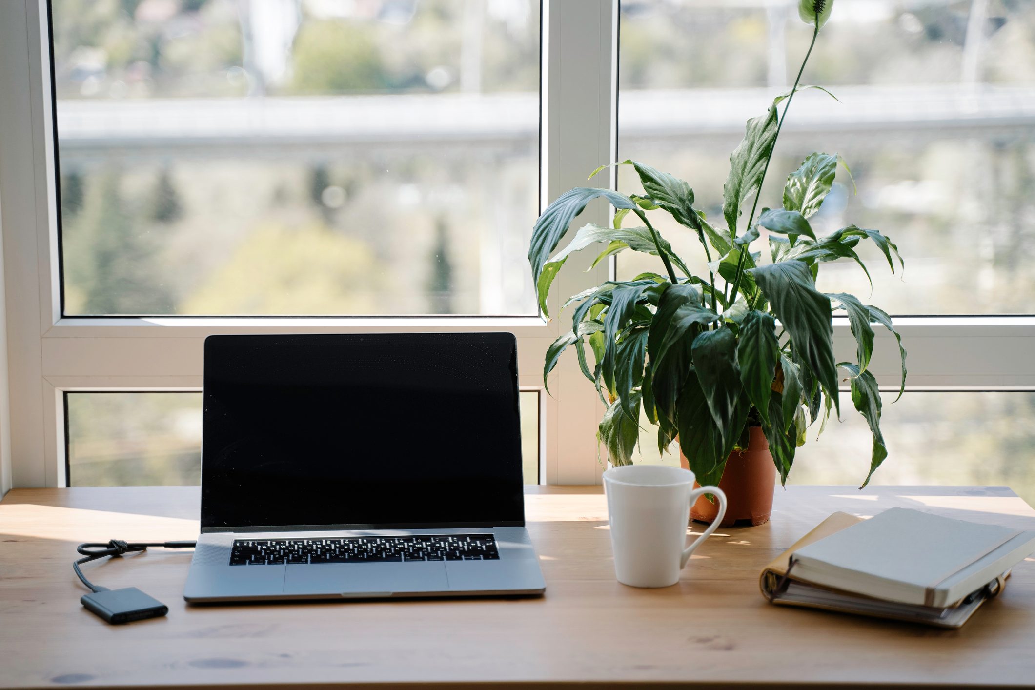 At home workplace in front of the panoramic window