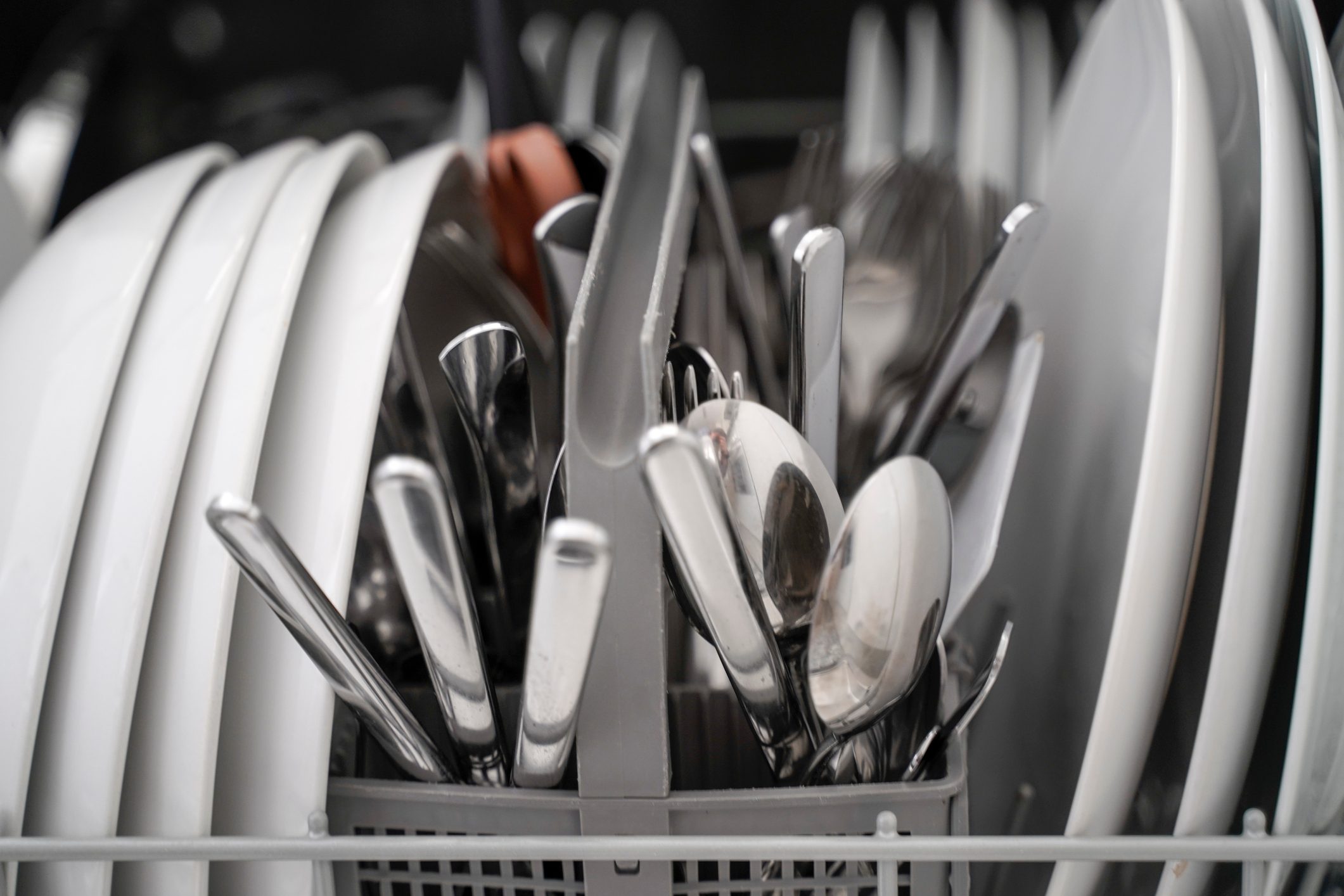 Dishwasher in the kitchen
