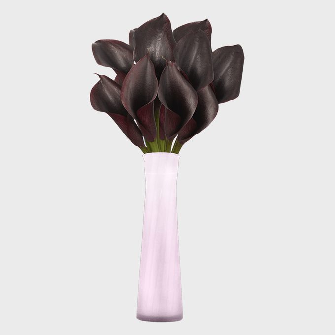 Dark calla lilies stand upright in a tall, slender white vase against a plain background.
