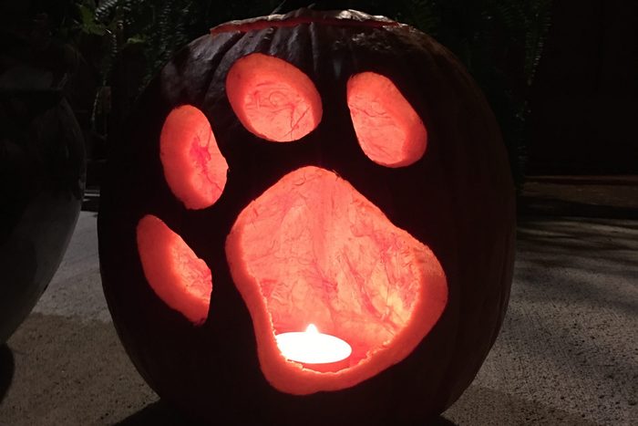 Jack O' Lantern