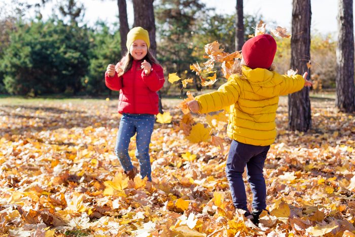 Children two cute toddler girls having fun with yellow leaves on sunny warm day in autumn, kids throw leaves, young friends play activity fall concept outdoors.