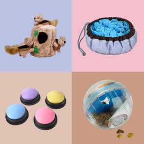 Plush squirrels emerge from a tree trunk toy; drawstring bag holds blue objects; four colorful push buttons; transparent ball contains pet treats.