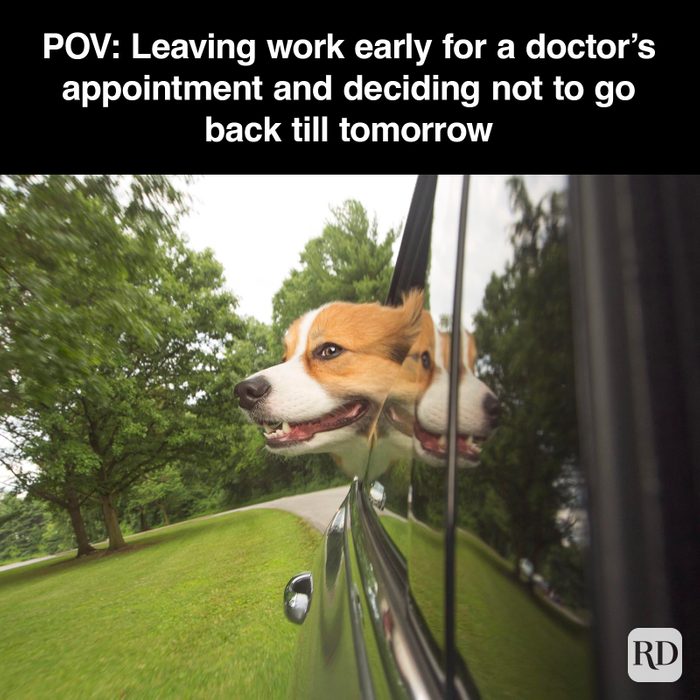 Dog Memes 57