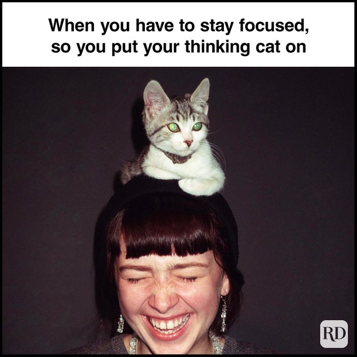 Teacher Memes 12