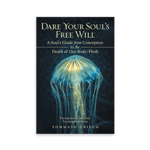Jellyfish glows softly, floating against a dark oceanic backdrop. Text reads: 