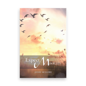Birds flying in a sunset sky above grassy fields. Text reads: 