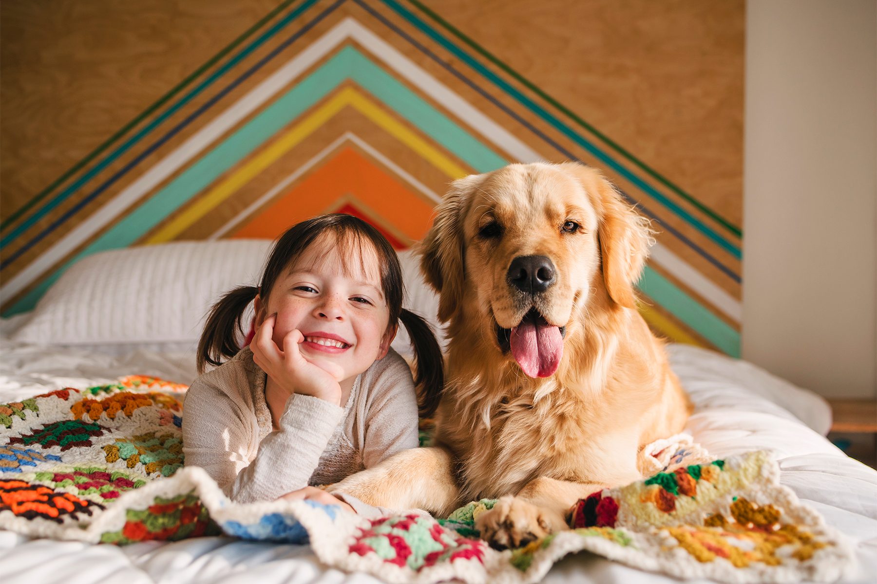 15 Best Dogs for First-Time Owners