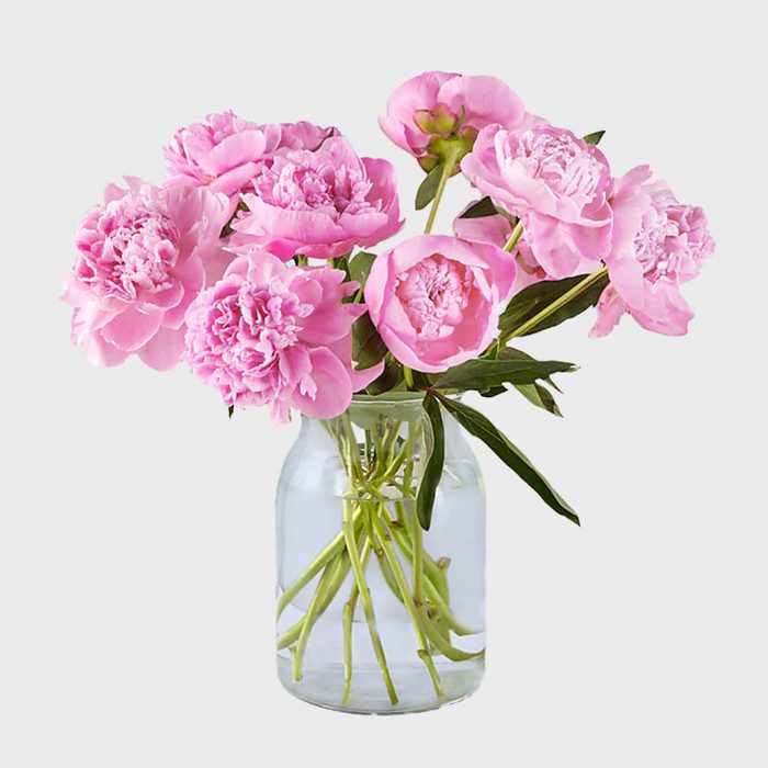 Pink peonies rest in a clear glass vase, surrounded by a light, plain background.
