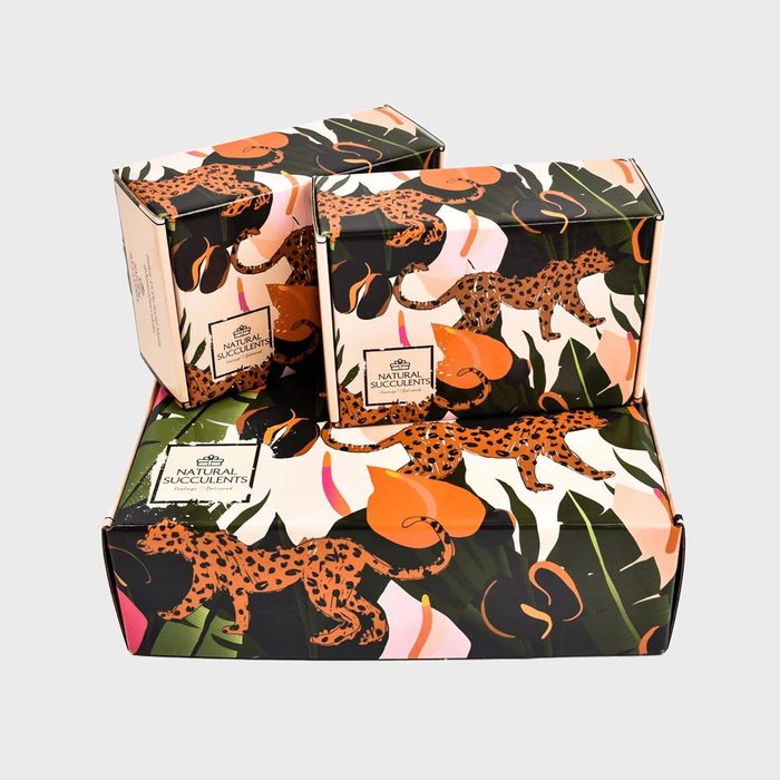 Boxes feature leopard and floral art, stacked together. Text reads, 