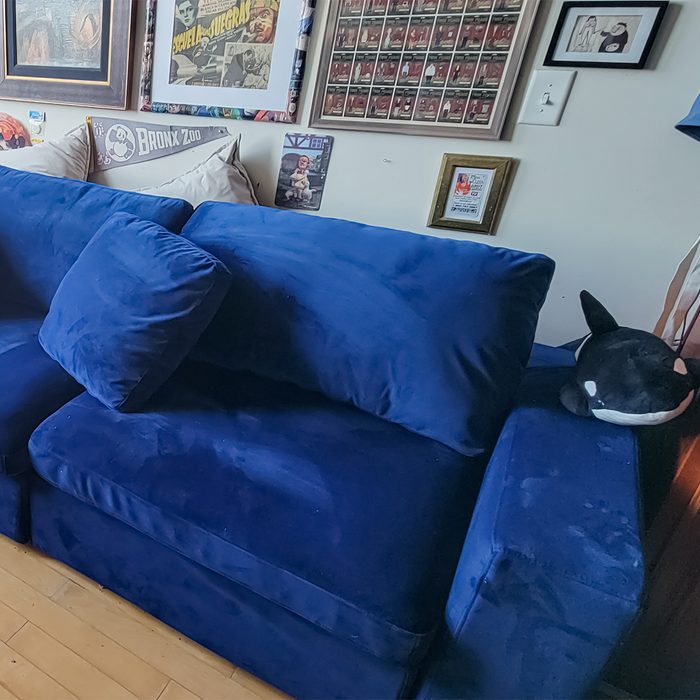 Blue couch sits against a wall adorned with various framed posters. A stuffed toy lies on the right armrest.