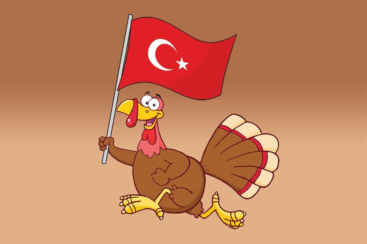 Which Turkey Came First: the Bird or the Country?