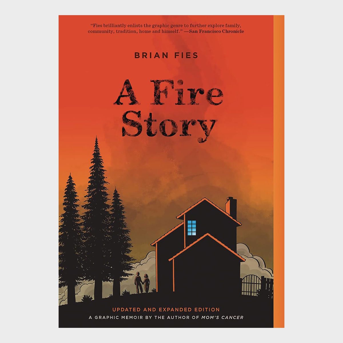 A Fire Story A Graphic Novel By Brian Fies