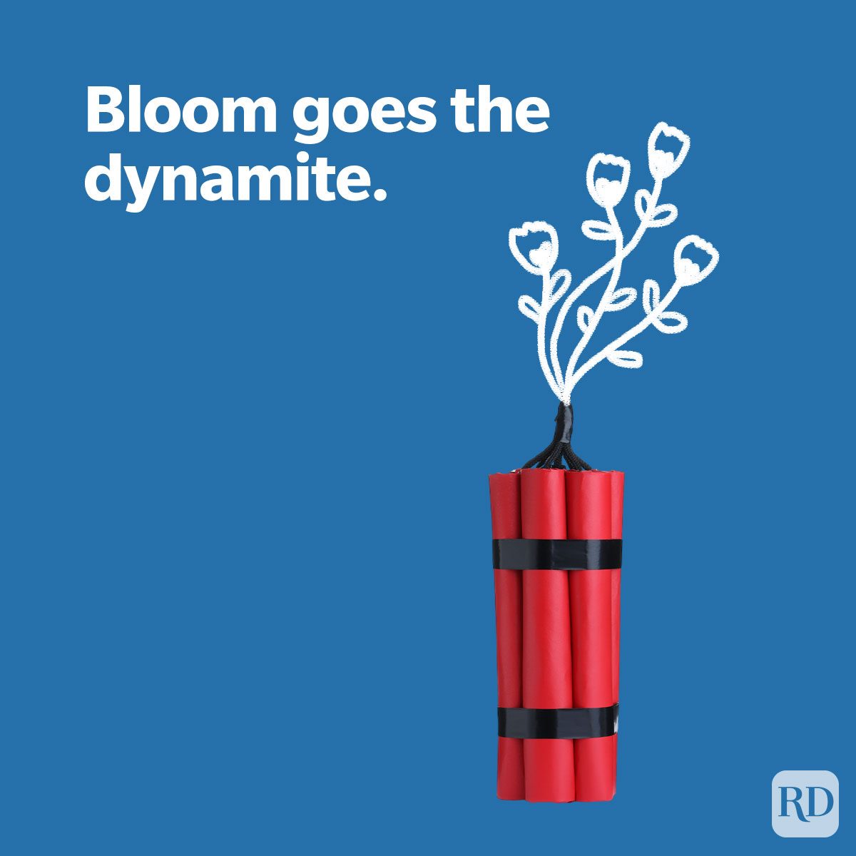 Funny Puns About Spring