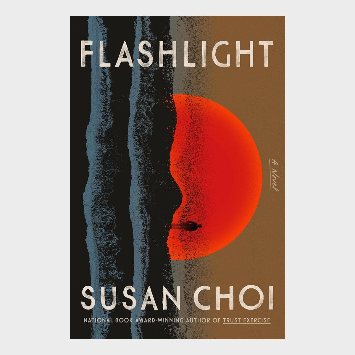 Flashlight By Susan Choi