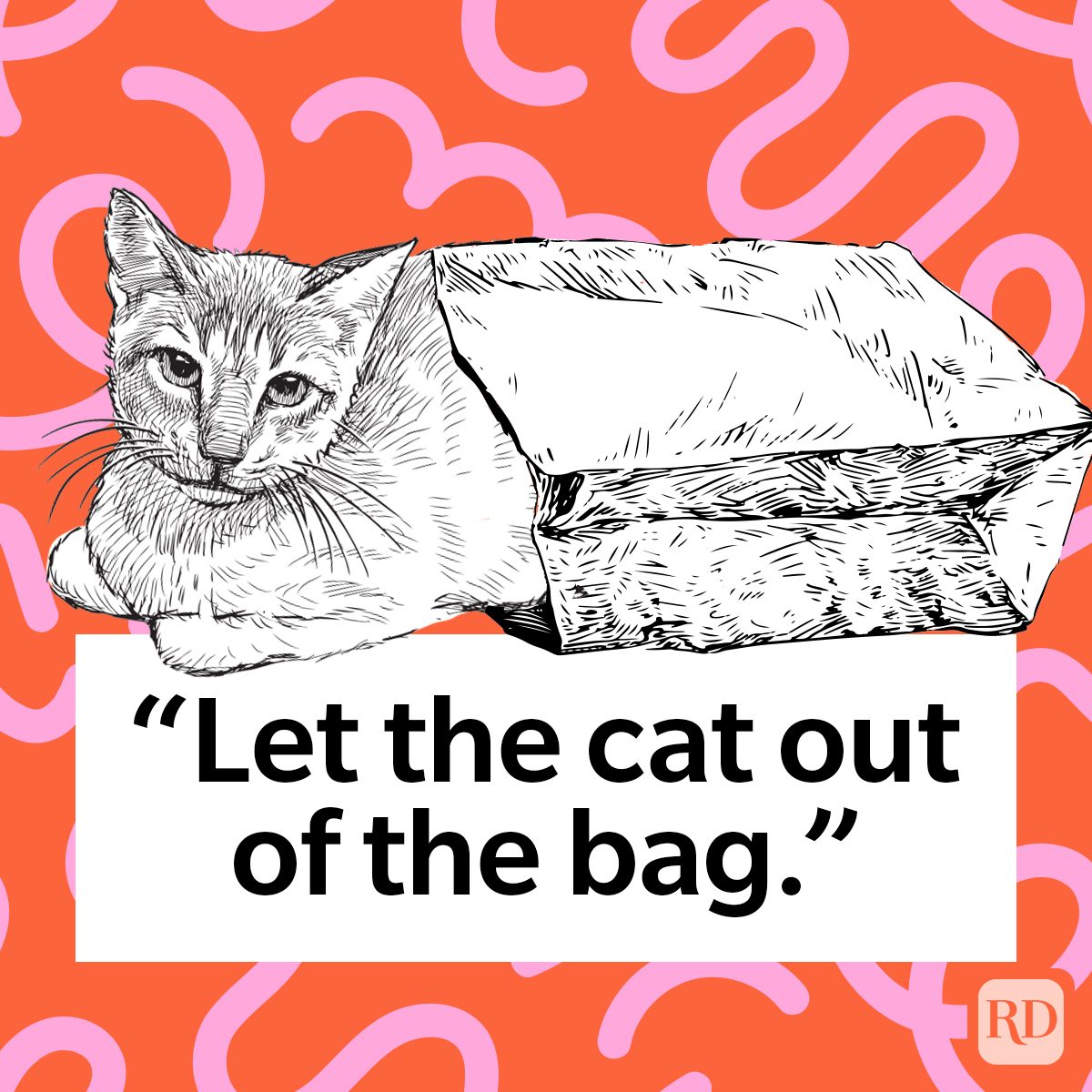 The True Origin Of Let The Cat Out Of The Bag